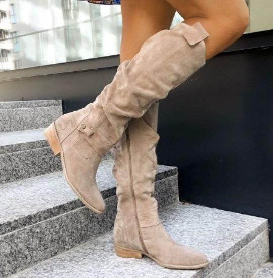 แอปริคอท