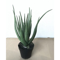 17 Zoll Mini Tropische Aloe Vera Sukkulente Bonsai 14 Stück PE Künstliches Gras und Baum Kleine Größe 43cm Höhe
