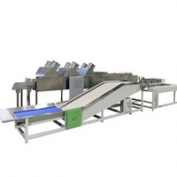 Hete Aanbieding: Zacht Aanvaardbare Multi-Stage Olijfsorteermachine voor Versfruitfabrieken