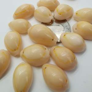 Großhandel Kauri Muschel Muscheln Eins Zwei Löcher Strand Natur schalen Handwerk Schmuck Herstellung Polierte DIY Zubehör Dekoration - Product Image 6