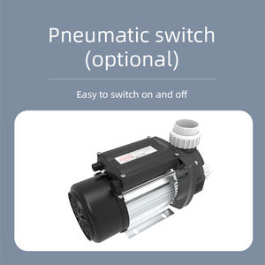 <span class=keywords><strong>Pompe</strong></span> de spa à remous Proway 2 Hp WPP1500E, <span class=keywords><strong>pompe</strong></span> à eau pour baignoire hydro-massante - Product Image 4