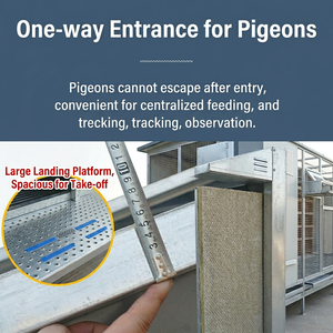 Direct usine, Colis de pigeonnage professionnel extra large, Cages pour pigeons voyageurs, Colis de pigeonnage spacieux, Cage pour pigeons de course - Product Image 3