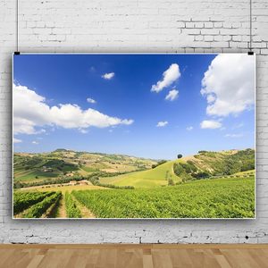 ฉากหลังฤดูใบไม้ผลิ5x3ft พื้นหลังสีเขียวเนินเขาพื้นที่เพาะปลูกหญ้าไวนิลท้องฟ้าสีขาวเมฆกลางแจ้งธรรมชาติ - Product Image 2
