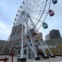 Équipement d'Amusement le Plus Populaire Décoration de Cirque Roue de Ferris Métallique Blanche avec Lumière