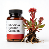 Extrait de Rhodiola de qualité alimentaire en poudre, emballage OEM/ODM, capsules d'extrait de Rhodiola