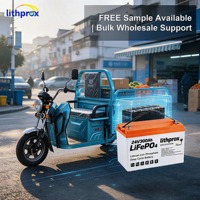 Batería de Litio para Silla de Ruedas 24V300AH 7.2KWh, Fosfato de Hierro y Litio (LFP), Carga Rápida, Diseño Duradero para Scooter de Movilidad Eléctrica, CE