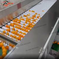 Automatische 304 roestvrijstalen fruit- en groentesorteermachine met capaciteit van 1200 kg/uur voor aardappelen ALLWIN AWFX-60