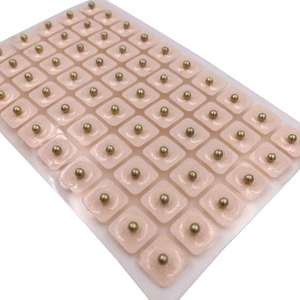 Kit de perles d'acupression magnétiques populaires pour usage clinique – Graines de massage auriculaire – Produit de médecine chinoise - Product Image 3