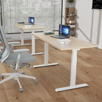 Bureau d'ordinateur personnalisé, réglable en hauteur, électrique, à double levage, table de travail debout pour le bureau à domicile, mobilier de bureau