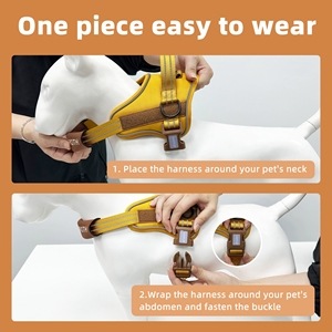 Sadel gaya tidak ada tarik Oxford, kekang anjing dan Set tali reflektif bisa disesuaikan, rompi Harness hewan peliharaan nama pribadi - Product Image 5