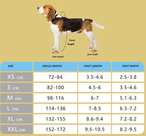 Nuevas Botas Impermeables Ajustables para Perros con Tirantes, Protectores de Patas para Nieve, Lluvia y Senderismo en Invierno - Product Image 6