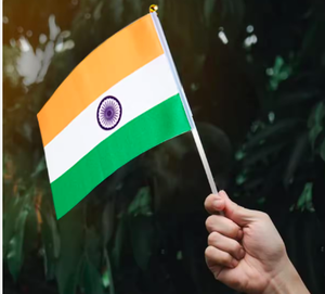 Пользовательские национальные флаги стран индийский флаг индийский маленький Стик мини Ручные флаги - Product Image 5