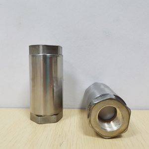 Válvulas de Retención Criogénicas de Elevación Vertical de Acero Inoxidable 304, 4Mpa, DN15, Rosca NPT de 1/2 Pulgada para LO2, LN2, LAr, LNG, LCH - Product Image 3