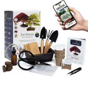 Kit d'outils de bonsaï unique pour une utilisation au sol comprenant des ciseaux et de l'<span class=keywords><strong>engrais</strong></span> Cadeau original pour la culture et la décoration de plantes naturelles - Product Image 2