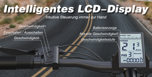 Affichage LCD de l'instrument du tableau de bord du vélo électrique VARUN - Product Image 3