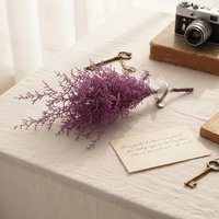 Caspia Misty Limonium Konservierte Natürliche Getrocknete Blumen Großhandel Graspflanzen Hochwertige Caspia