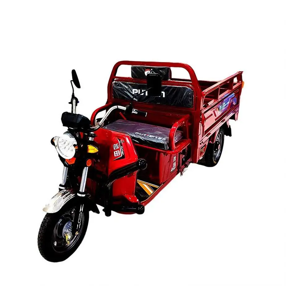 Factory Direct Sale Tuk Bajaj India Truck Trike Coaster Brake Motor Use Van Cargo Tricycle For Adult Electric Motorcycle