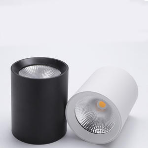 非穴あき天井取り付けLEDチューブライト円形COB吊り下げワイヤー表面取り付けスポットライト通路照明 - Product Image 1