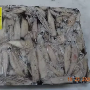 Calamar Congelado con Certificación Halal, Marisco Fresco, Bajo <span class=keywords><strong>en</strong></span> Grasas, Alto <span class=keywords><strong>en</strong></span> Proteínas, Suministro <span class=keywords><strong>en</strong></span> Paquete - Product Image 3