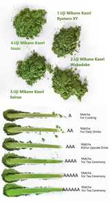 Matcha en Polvo Orgánico Certificado (USDA/UE), Mezcla Definitiva <span class=keywords><strong>Sin</strong></span> Azúcar y <span class=keywords><strong>Sin</strong></span> <span class=keywords><strong>Gluten</strong></span> para Preparar Postres, Té Verde Matcha - Product Image 2