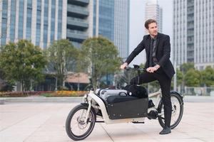 Vélo cargo électrique à 2 roues personnalisé avec moteur sans balais 250W Alimentation par <span class=keywords><strong>batterie</strong></span> au lithium 36V/48V Cadre en aluminium Frein à disque - Product Image 4