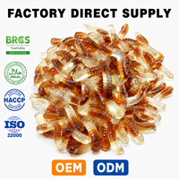 Bonbons gélifiés en forme de vers, saveur fruitée acidulée, halal, en gros, personnalisables OEM ODM, fabricant de marques privées
