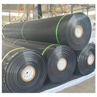 Membrane géomembrane HDPE haute densité pour bassin piscicole, réservoir de chantier hydraulique, anti-fuite, protection du sol