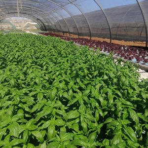 G & N-tablero de espuma flotante, sistema de cultivo hidropónico aquapónico DWC para lechuga, 40kg/<span class=keywords><strong>M3</strong></span> - Product Image 3