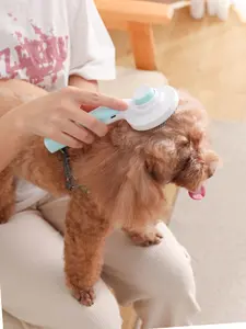 TTT Schlussverkauf Haustierpflegeprodukt Reinigung Bade essentieller Nagelstrahler Katzen-Massagekamm-Set Haarbürste für kleine Tiere
