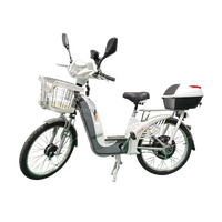 Vélo de plage 24 pouces vélo électrique adulte 800w 15Ah batterie au lithium-fer fourche avant à pression d'huile conduite en ville