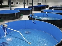 Korrosions beständiges PP-Aquakultur-Aquarium mit hoher Dichte Modularer Bienenstock-Plastik fischteich für hoch dichte RAS-Aquakultur
