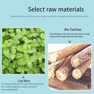 Bastoncini Masticabili alla Menta Biologici con Erba Gatta e Frutto di Polygonum, Snack Lussuosi per Gatti, Giocattolo da Masticare per Uso Interno/Esterno, Anti-Noia - Product Image 2