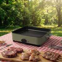 Poêle à frire électrique chauffante DC 24V antiadhésive, ustensile de cuisson extérieur 240W, plaque de cuisson pour camping