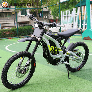 Plaque de numéro avant en carbone pour Sur Ron Light Bee X, accessoires pour moto électrique, enduro, motocross, dirt bike, e-bike - Product Image 2