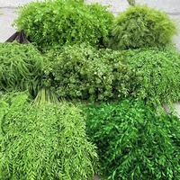 Feuilles artificielles de plante du feuillage TH872 vert pour l'arrangement floral de noce