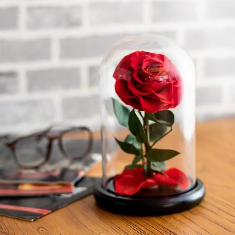Klassiker ewige Rose konservierte Blume in Glaskuppel Rosen Großhandel Schönheit ewig erhaltene Blume konservierte Rosen