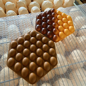 Waffles de burbujas de plástico con forma de abeja, sin crema, sabor chocolate original, con huevo, para exhibición en escaparates de carritos de aperitivos culturales de Hong Kong, utilería de exhibición. - Product Image 6