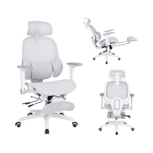 Chaise de bureau en maille QILIAN, chaise de bureau, soutien lombaire indépendant à 3 zones, ergonomie sans fatigue, chaise de jeu, pivotant à 360°, réglable - Product Image 1