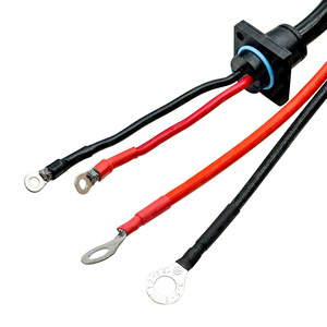 Custom 2-Core Ac Power Cord With Sr Tail Connector For Electric Golf Cart 10A <b>Pvc</b> Wire Sjtow Type C20 End - Product Image 4