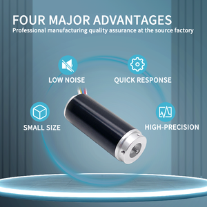 The Longest Life-span Mirco BLDC <strong>Motor</strong> 12V 10000 RPM Coreless <strong>Dc</strong> <strong>Motor</strong> - Product Image 2