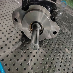 Pompe hydraulique simple série T6 T6C T6D T6E T6CM Pompe à palettes T6E-066-1R00-A1 T6E-072-1R00-A T6C 017 2R01 B1 T6CM R17 3R00C1 - Product Image 5