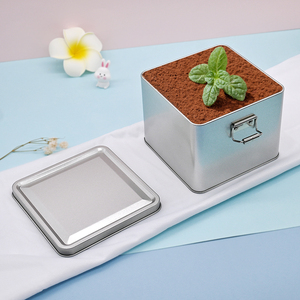 Kotak logam tingkat makanan baru Tiramisu datar besar persegi panjang timah kue pernikahan biskuit permen kacang kue kemasan permen dengan kunci - Product Image 5