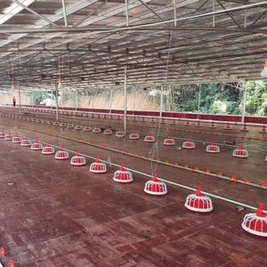 نظام خط خط أوتوماتيكي لتغذية الفروج ومياه الشرب لمزارع الدواجن ، ماكينة تغذية - Product Image 3