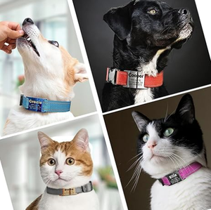Etiquetas <span class=keywords><strong>de</strong></span> Identificación para Mascotas, Grabadas Personalizadas en Acero Inoxidable y Aluminio, con Nombre y Número <span class=keywords><strong>de</strong></span> Teléfono - Product Image 5