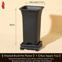 Pot Bunga Resin Persegi 15.7cm dengan Banyak Lubang Drainase Ramah Lingkungan Gaya Cina Sederhana untuk Penggunaan di Meja Taman dengan Anggrek Bonsai.