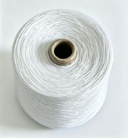 32S High-Tenacity Bright-White 100% Ring-Spun Polyester Knitting & Weaving Raw Yarn
