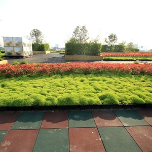 Système de jardinage vertical modulaire pour toitures vertes, jardinières auto-arrosantes pour toitures vertes - Product Image 5