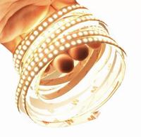 Tira de Luces LED SMD 2835 120LEDs/M, 5M Flexible, Impermeable, DC 12V/24V, Cinta LED de Alto Brillo para Decoración del Hogar
