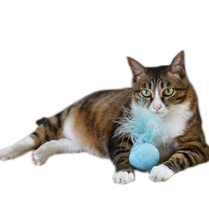 Korean Style Colorful <strong>Ball</strong> Plush <strong>Cat</strong> <strong>Toys</strong> with Ring Bell Feather <strong>Cat</strong> <strong>Ball</strong> - Product Image 6