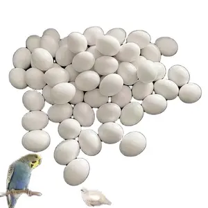 Accessoires Pigeon Motacidae jouant oeuf solide perruches nid oeuf pour petite volaille oiseaux ponte - Product Image 1